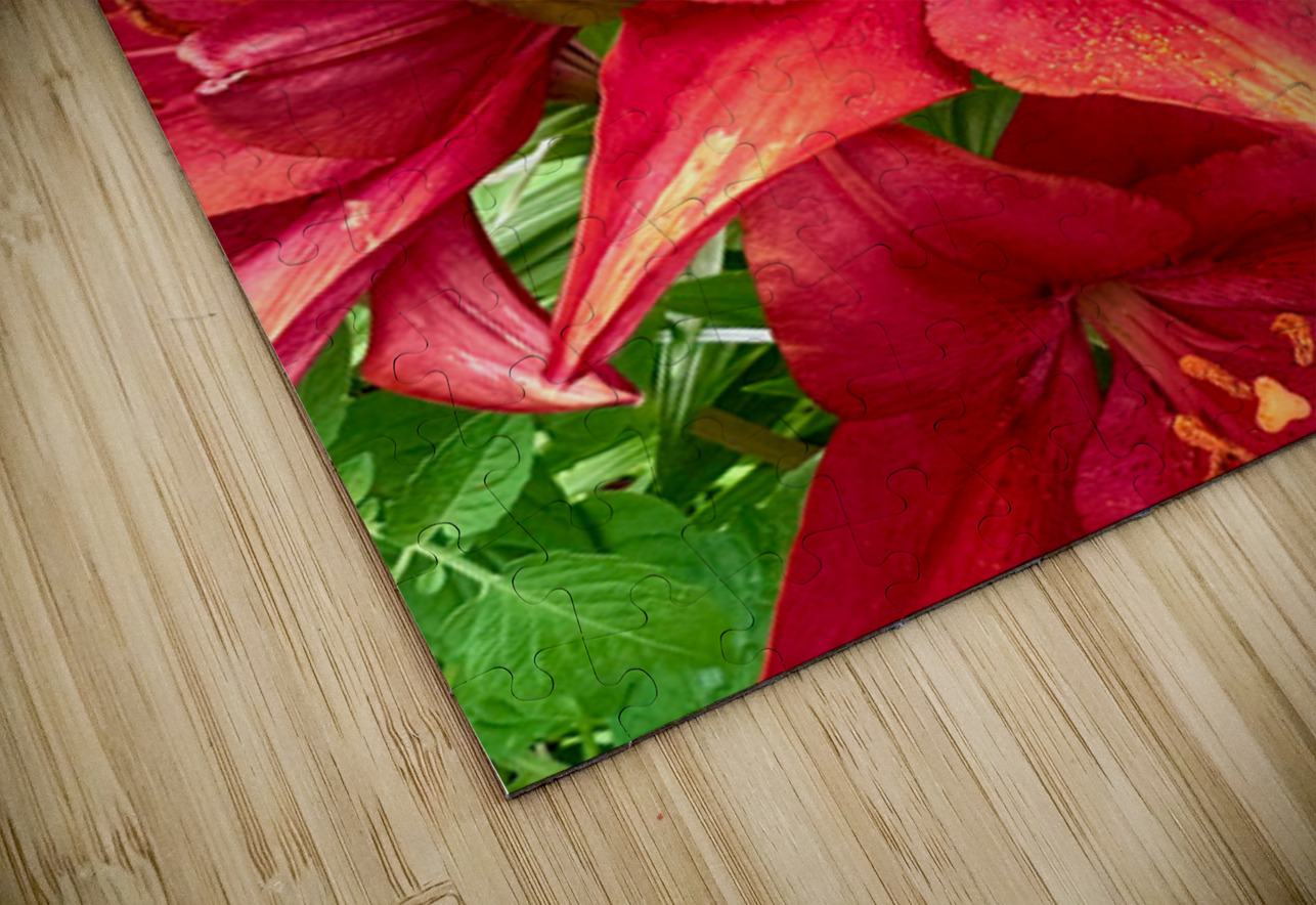 Close Encounter with Red Asiatic Lily Click4Pix Puzzle