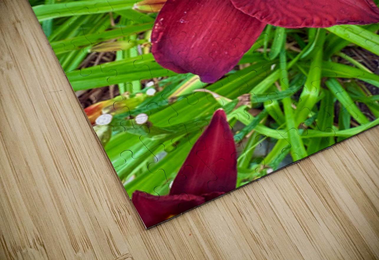 Garden Spotlight Click4Pix Puzzle