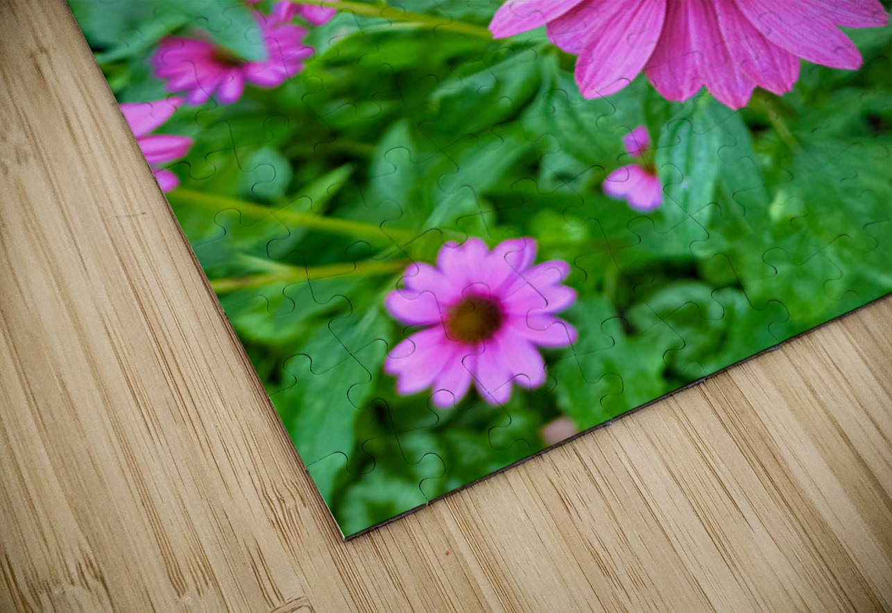 Petal Parade Click4Pix Puzzle