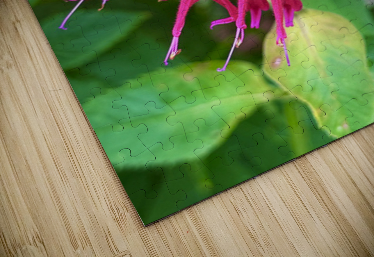 Vital Encounter Click4Pix Puzzle