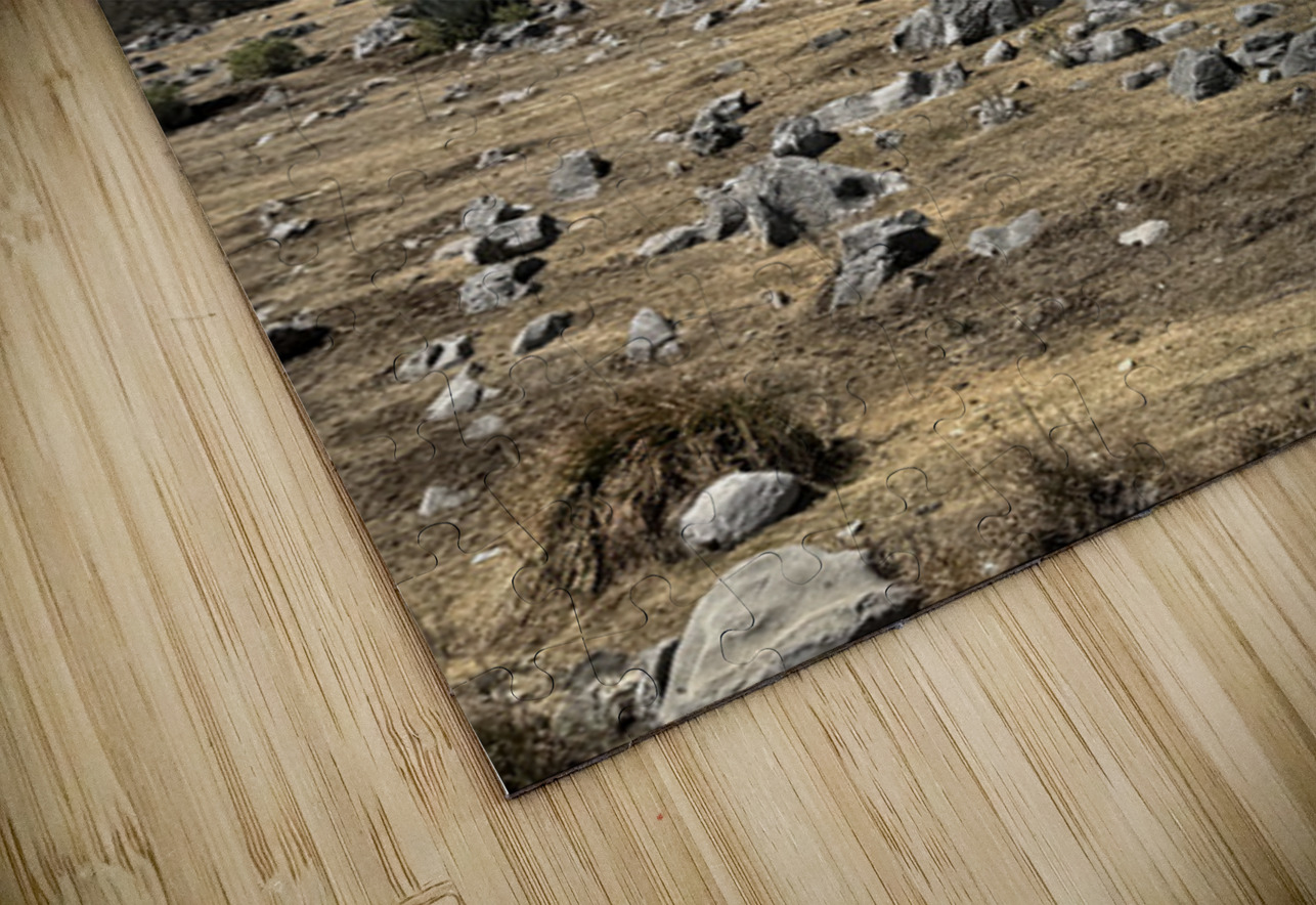 IMG 9555 Click4Pix Puzzle