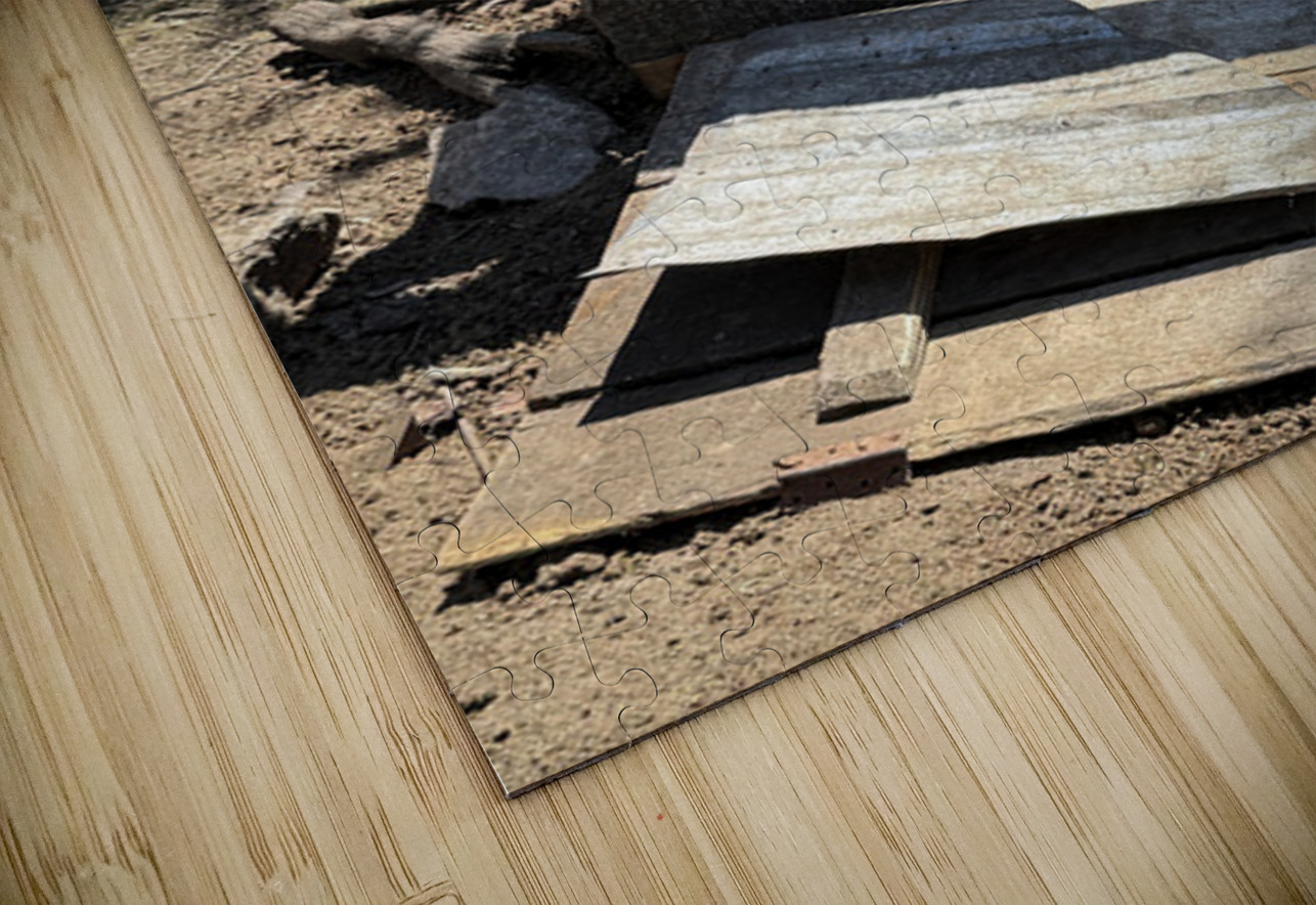 IMG 9518 Click4Pix Puzzle