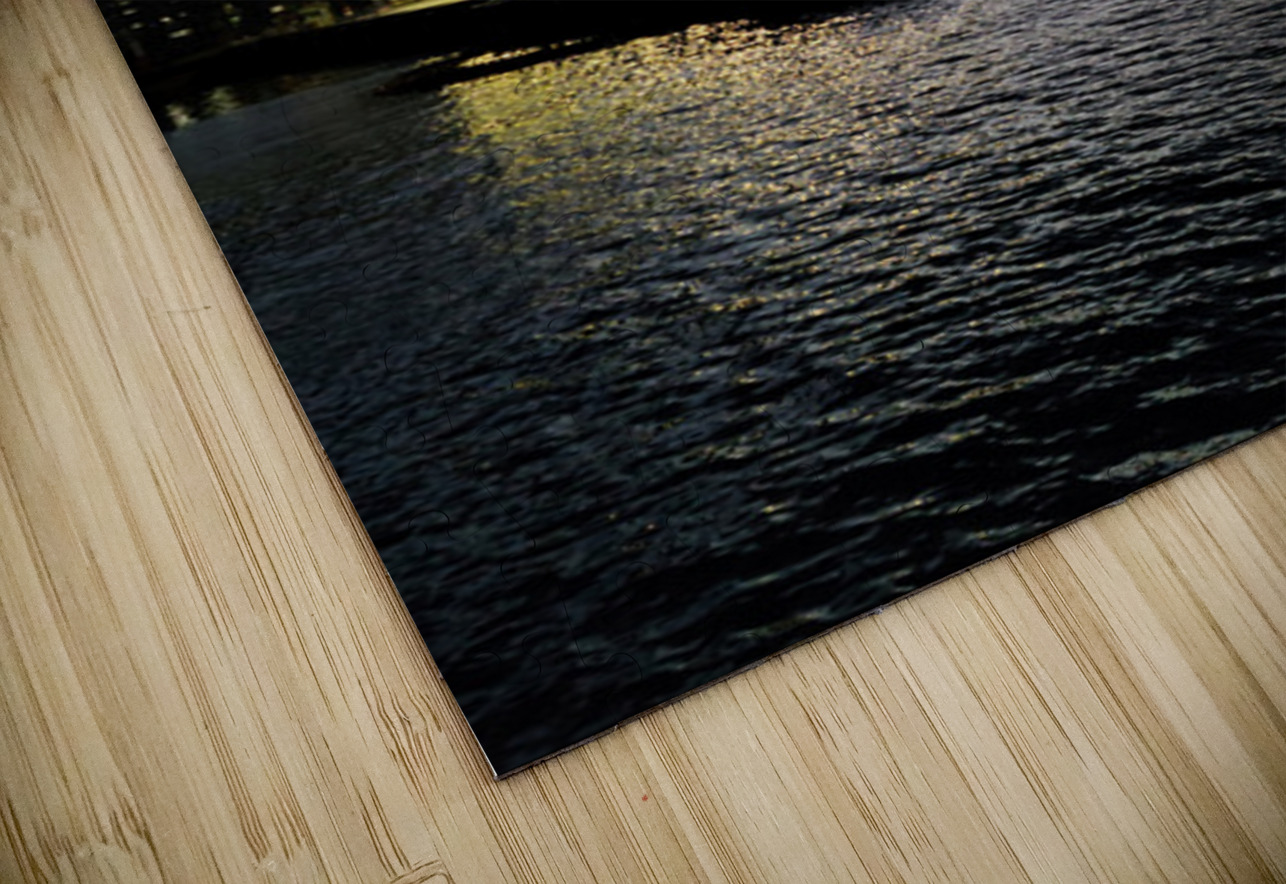 Moody Seattle Click4Pix Puzzle