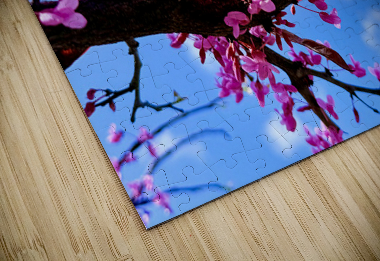 Blossom Light Click4Pix Puzzle