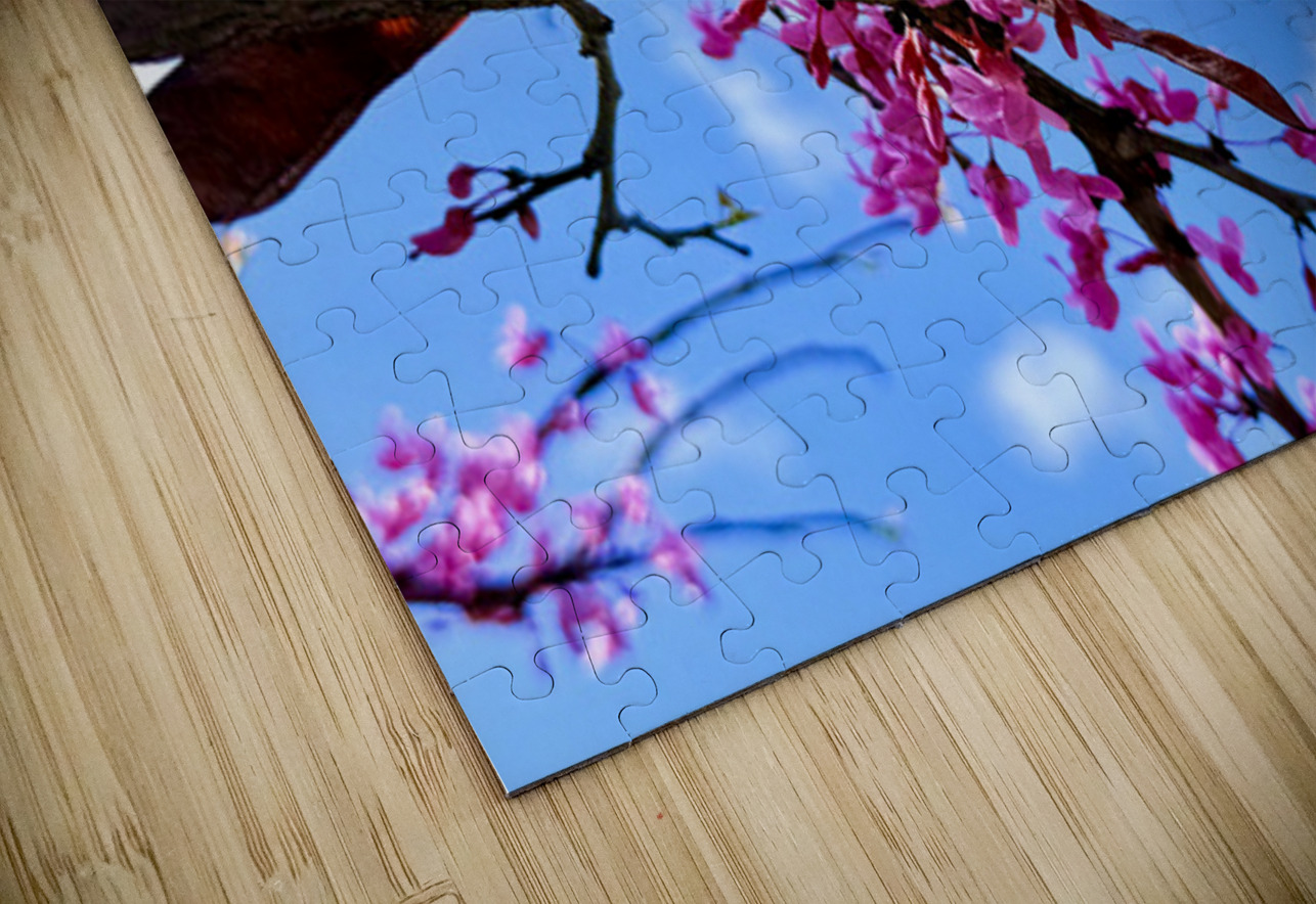  Blossom Line Click4Pix Puzzle