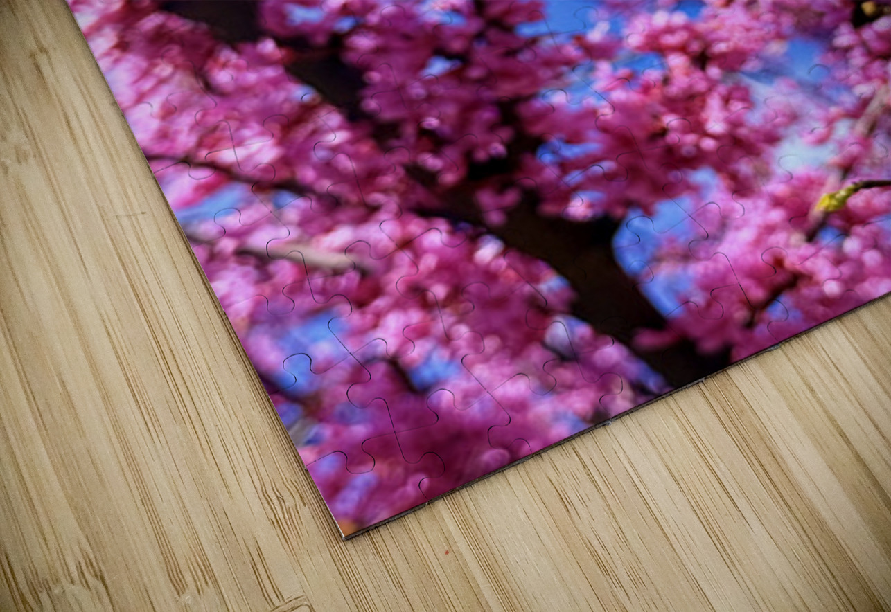 IMG 1659 Click4Pix Puzzle