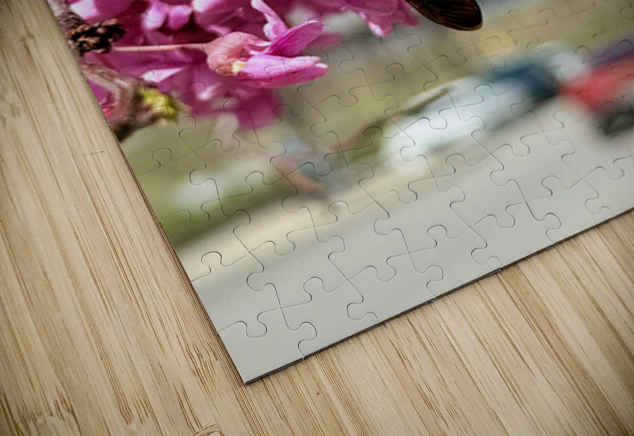 IMG 1570 Click4Pix Puzzle