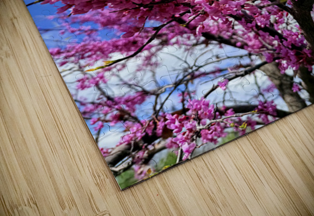  Redbud in Full Glory Click4Pix Puzzle