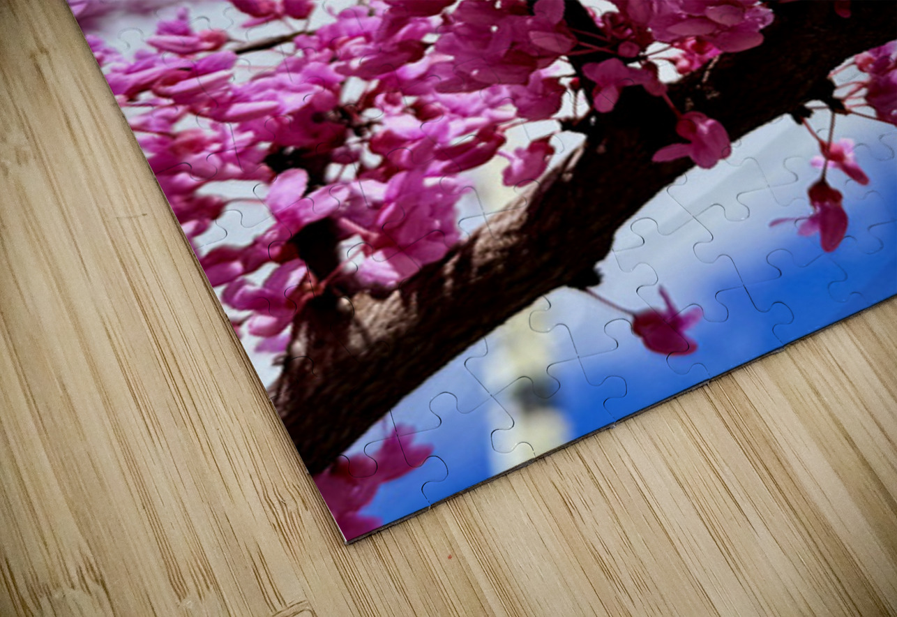 IMG 1528 Click4Pix Puzzle