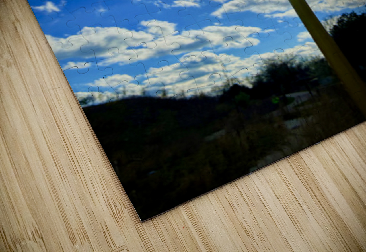 Simply Dandelion Click4Pix Puzzle