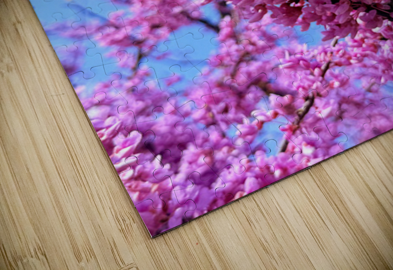 Redbud Riot Click4Pix Puzzle