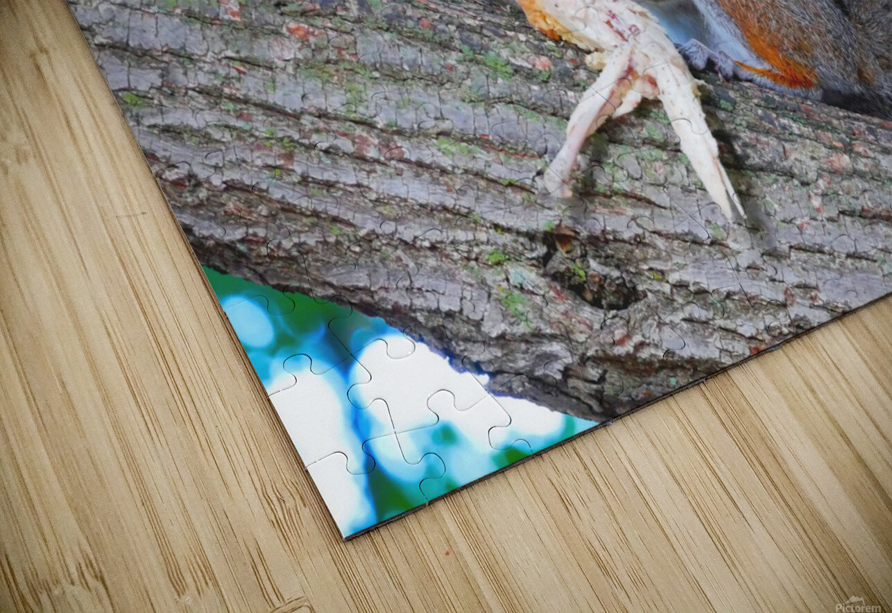 Tastes Like Chicken...Because it IS Click4Pix Puzzle