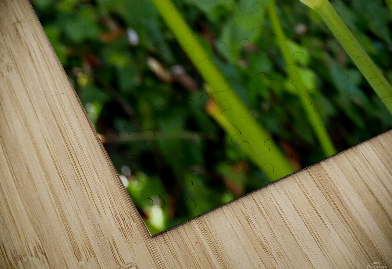 Golden Rod Exposed 2 Click4Pix Puzzle