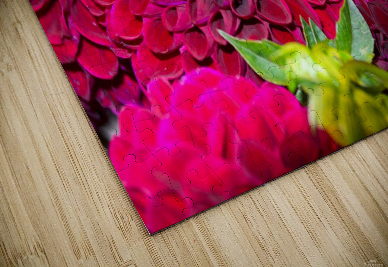 Flower Bloom 4 Click4Pix Puzzle