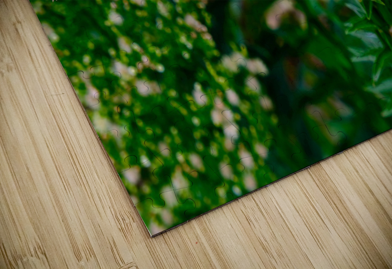 To Bee or Not to Bee  -- Kiss My Shiny Bumble Butt Click4Pix Puzzle