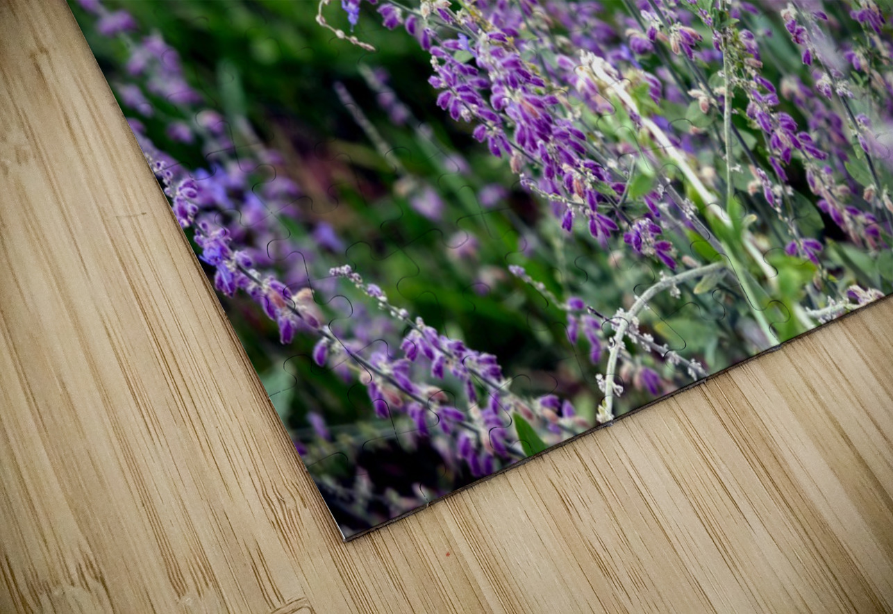 Towers of Lavender Click4Pix Puzzle