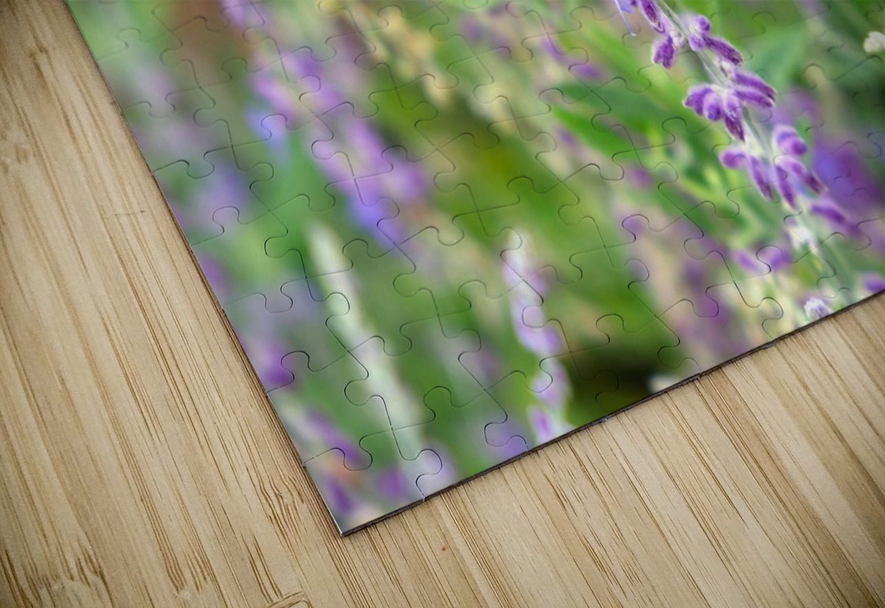 To Bee or Not to Bee -- Small Flower Big Flavor  Click4Pix Puzzle