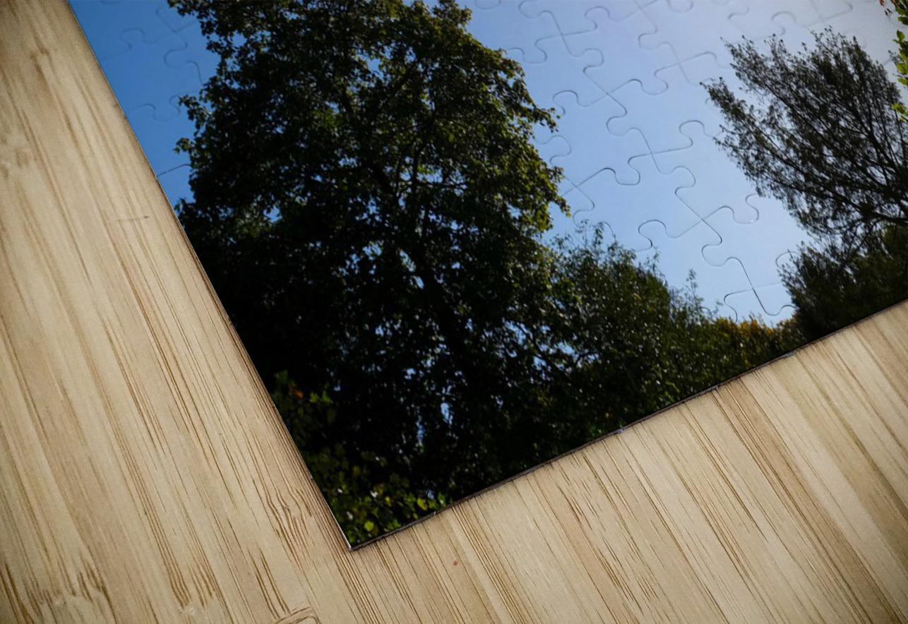 Seeing the Light Click4Pix Puzzle