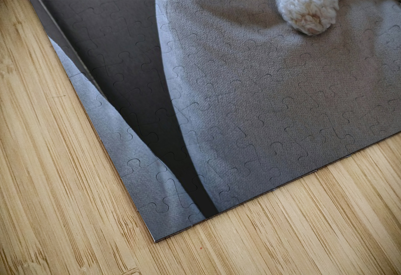 Patient Pooch Finn Click4Pix Puzzle