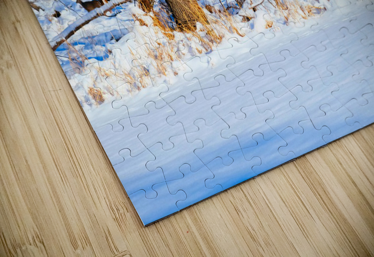 Oh Deer  Click4Pix Puzzle