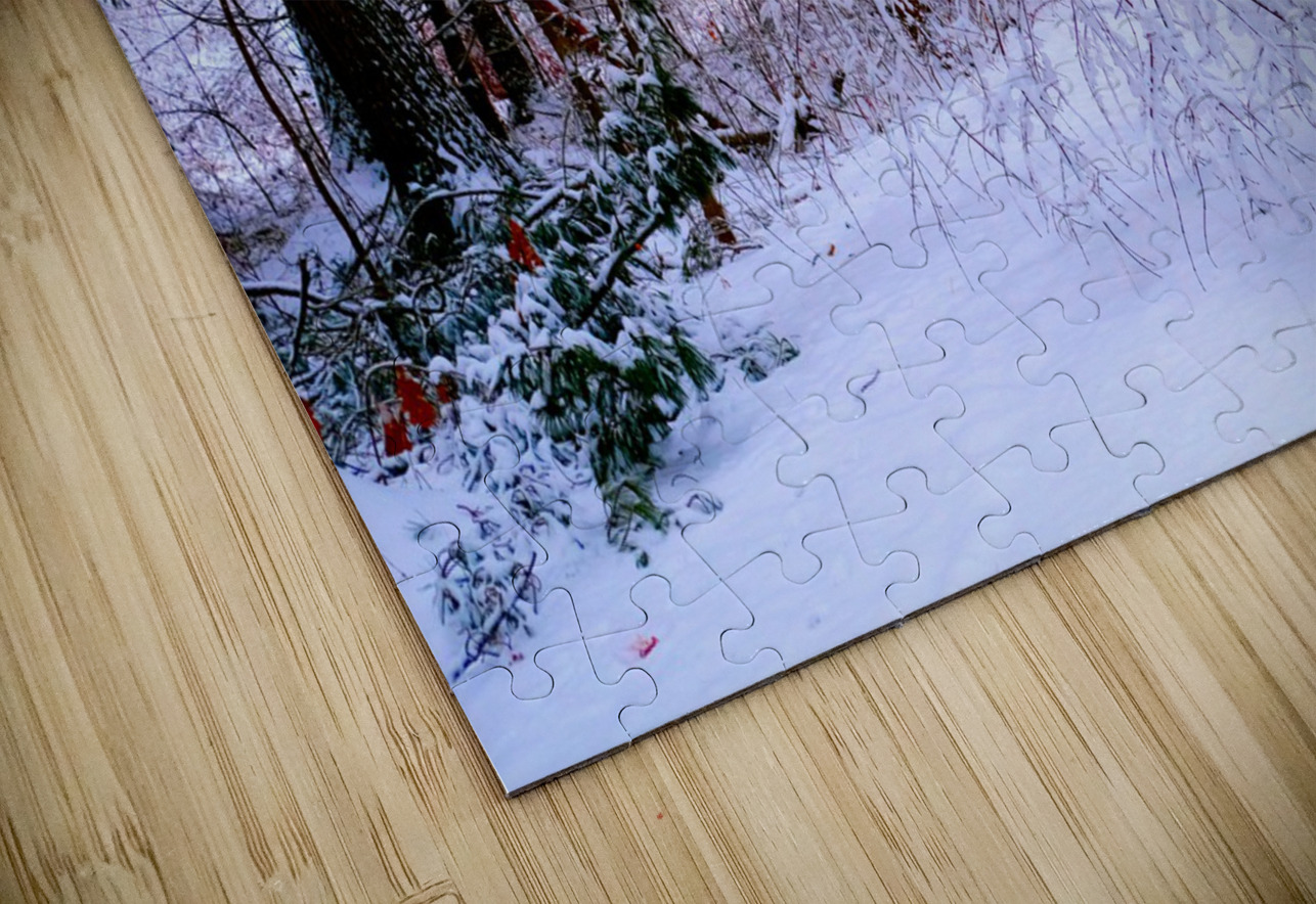 Bowing to Winter Click4Pix Puzzle