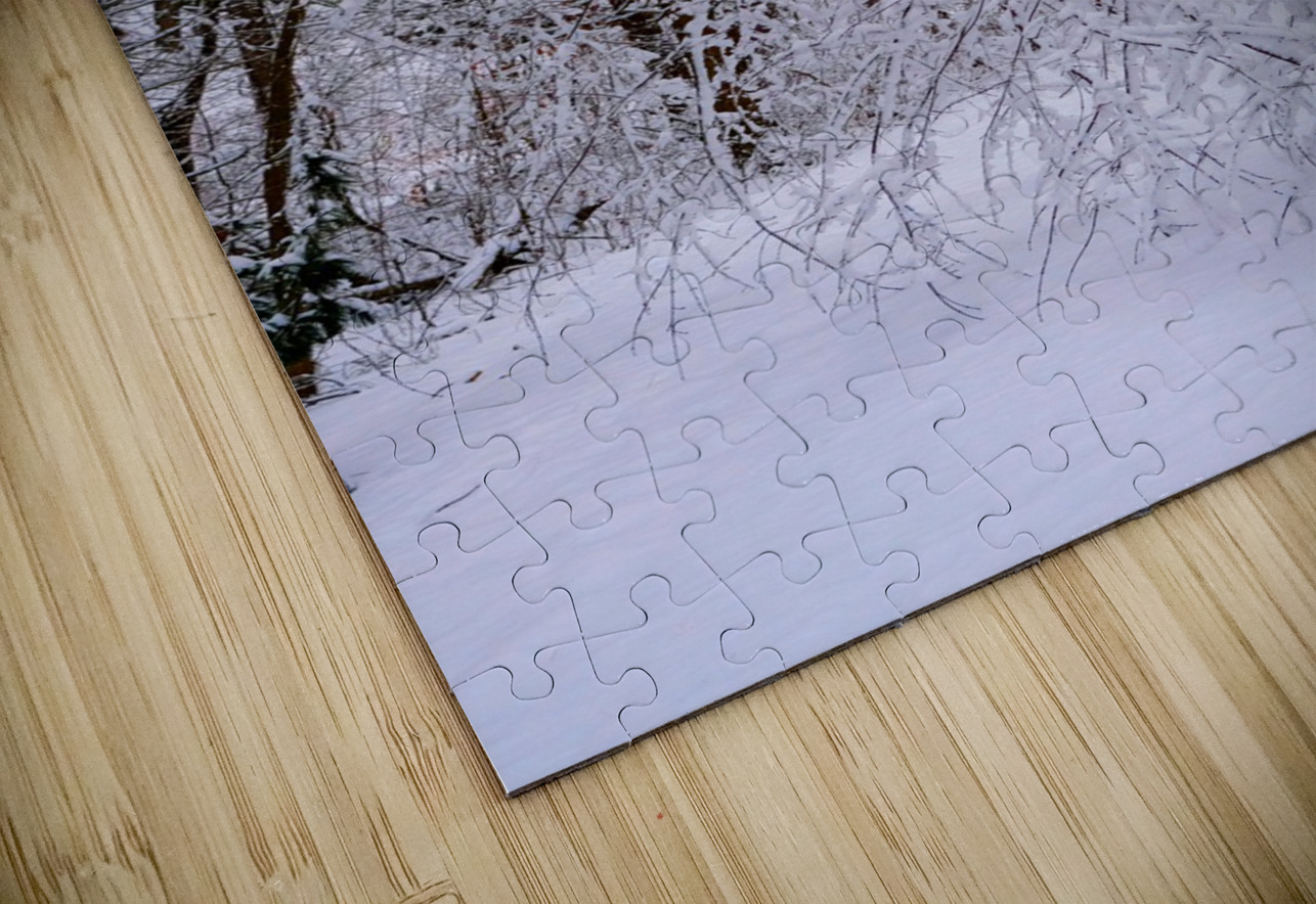 Bowing to Winter 2 Click4Pix Puzzle