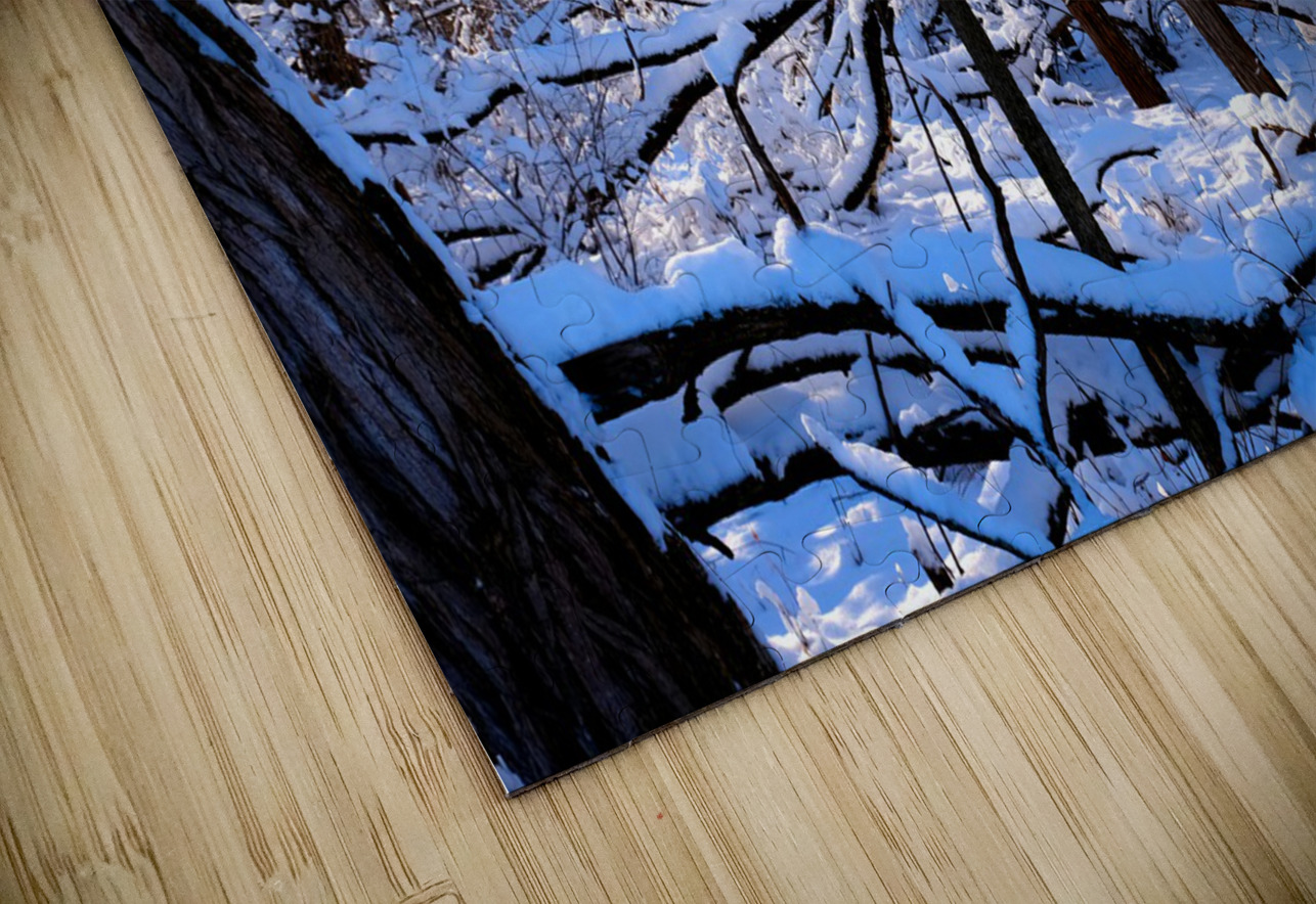 Frozen Limbs 2B Click4Pix Puzzle