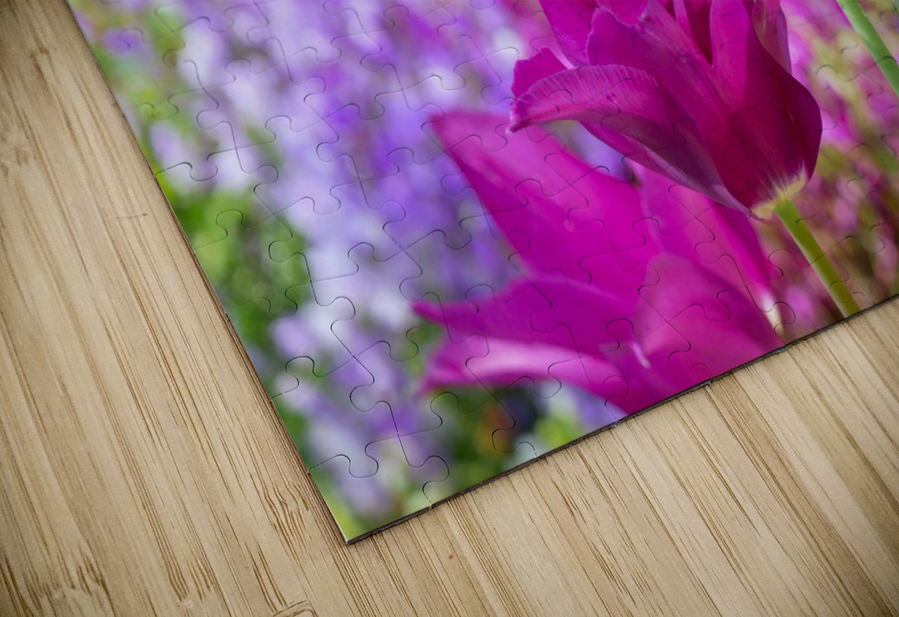 Tulips Are Better Than One 3 Click4Pix Puzzle