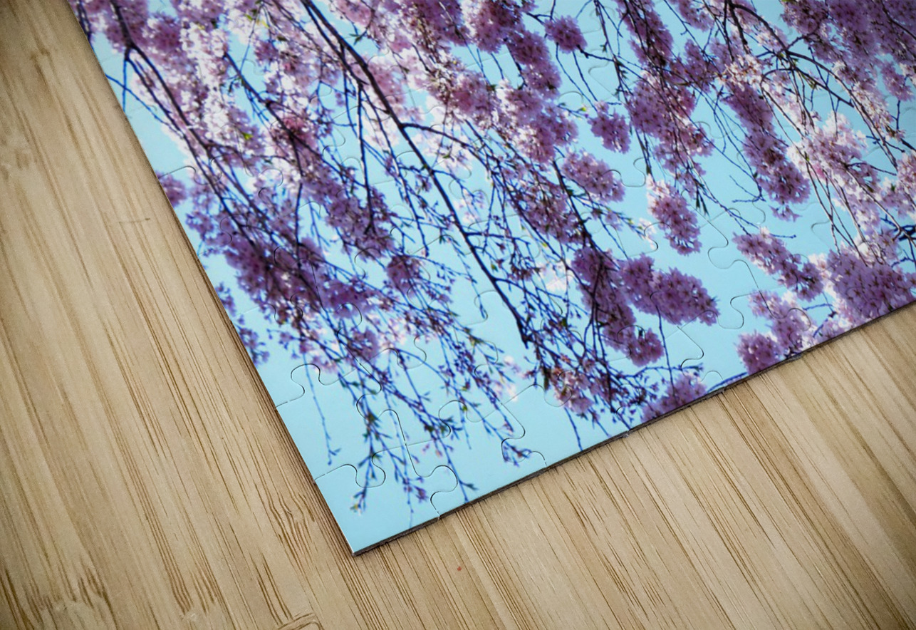 Cherry Blossom 3 Click4Pix Puzzle