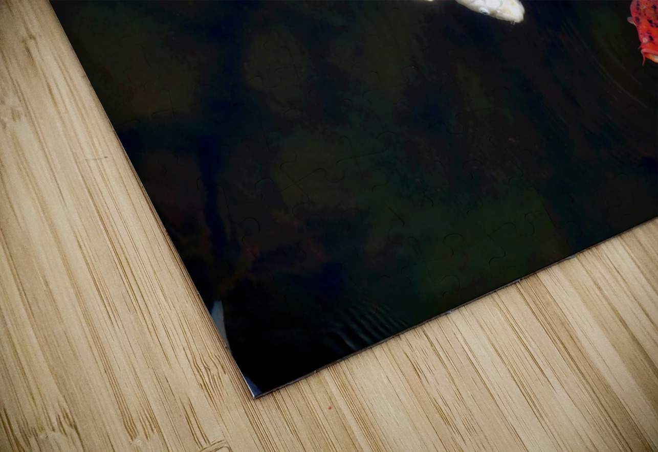 Some Very Coy Koi Click4Pix Puzzle