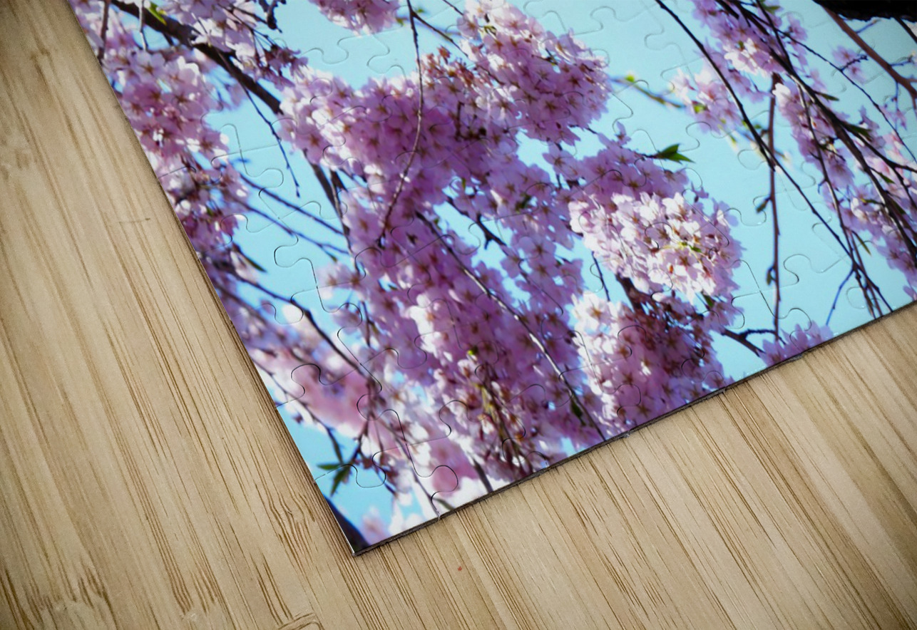 Cherry Blossom  Click4Pix Puzzle