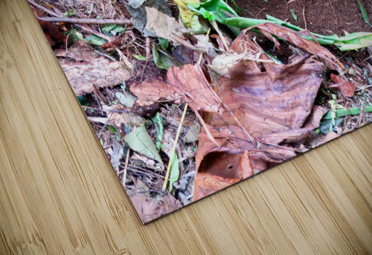 Cock in the Wild Click4Pix Puzzle