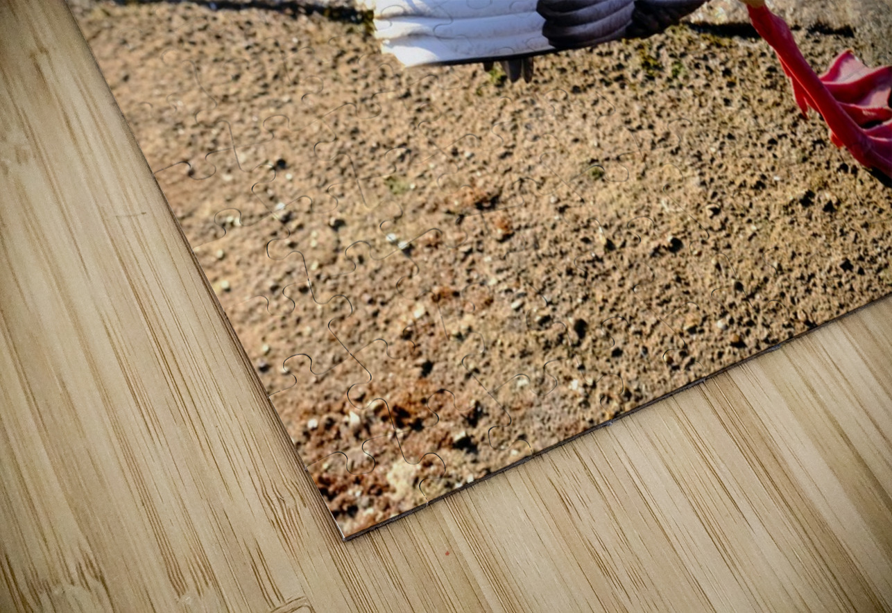 Headless Duck Click4Pix Puzzle