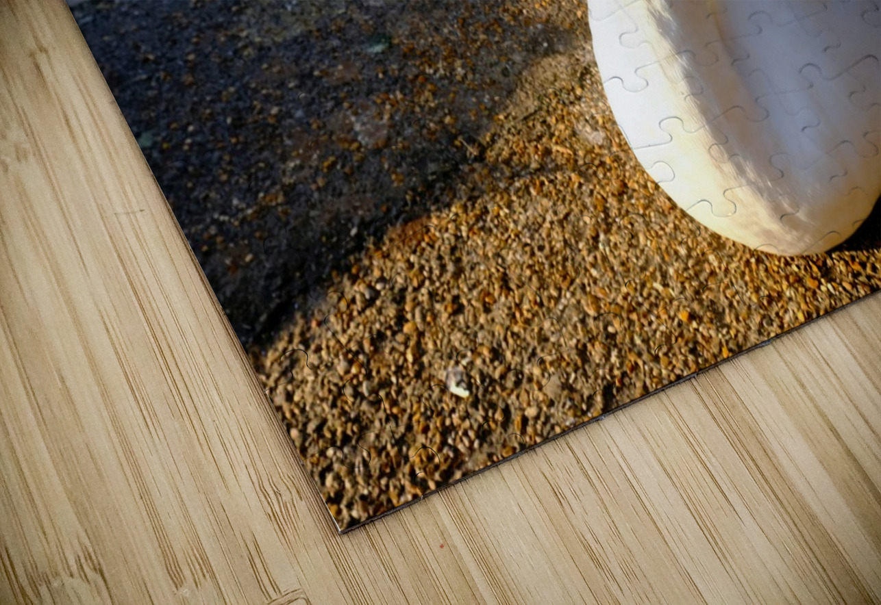 Swan Poses 1B Click4Pix Puzzle