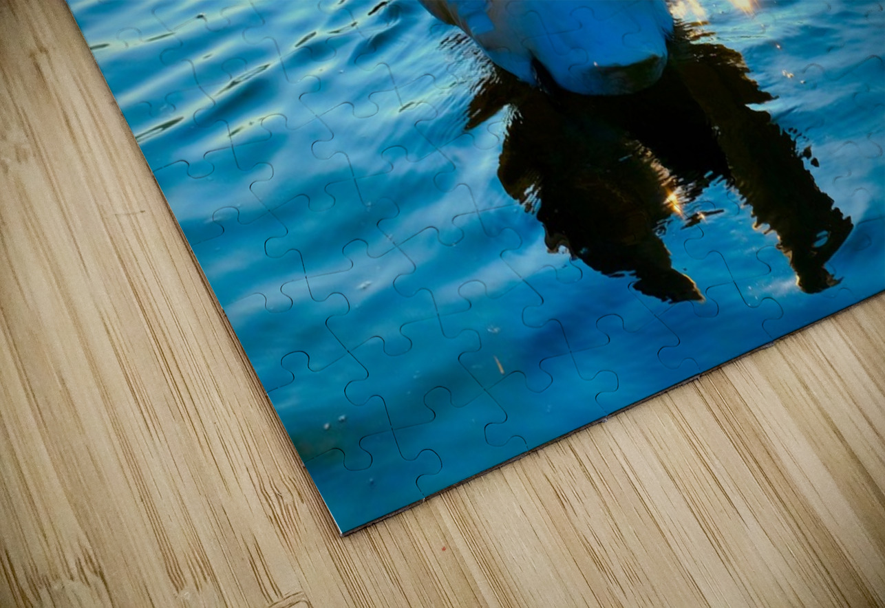 Luminous Voyage Click4Pix Puzzle