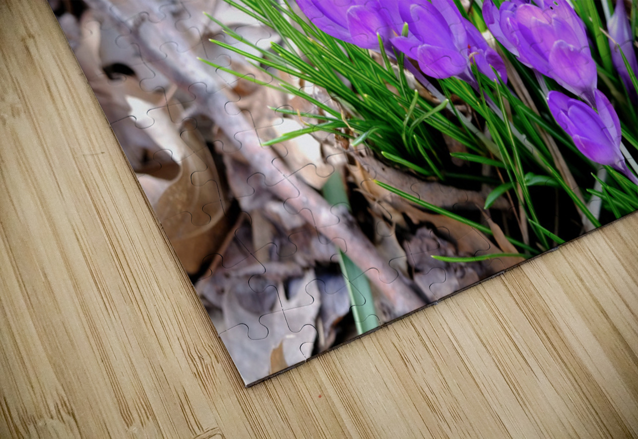 Spring’s Prelude Click4Pix Puzzle