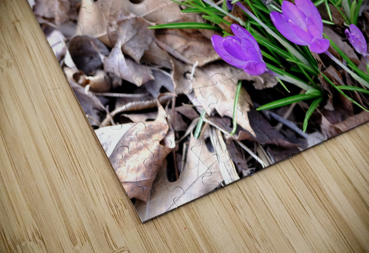 Spring Awakening Click4Pix Puzzle