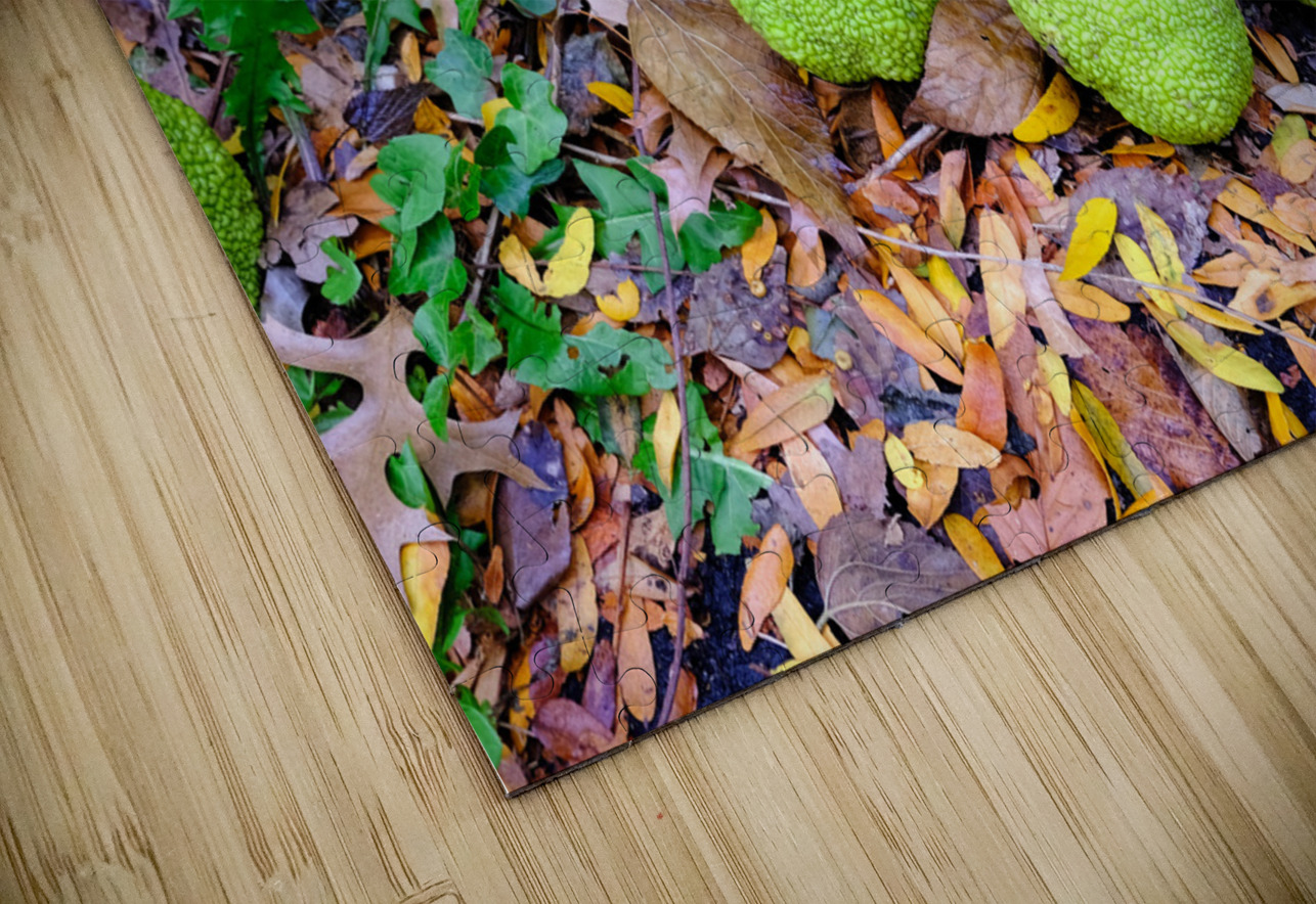 Osage in Autumn Click4Pix Puzzle