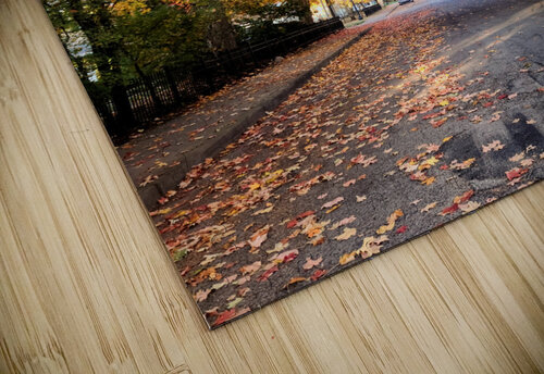 Fall Over the Road: Amber Dreams on Autumn Drive Click4Pix puzzle