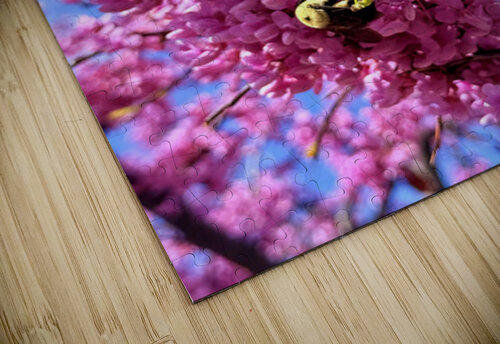 IMG 1620 Click4Pix puzzle