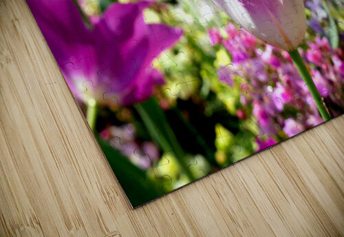 Tulips Are Better Than One 2 Click4Pix puzzle