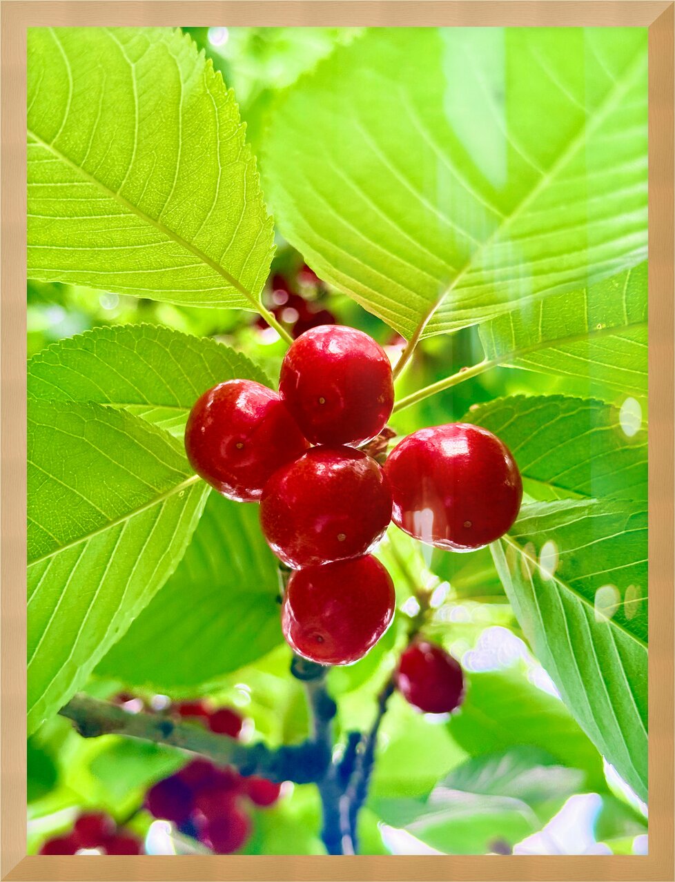 Impression de cadre personnalisé