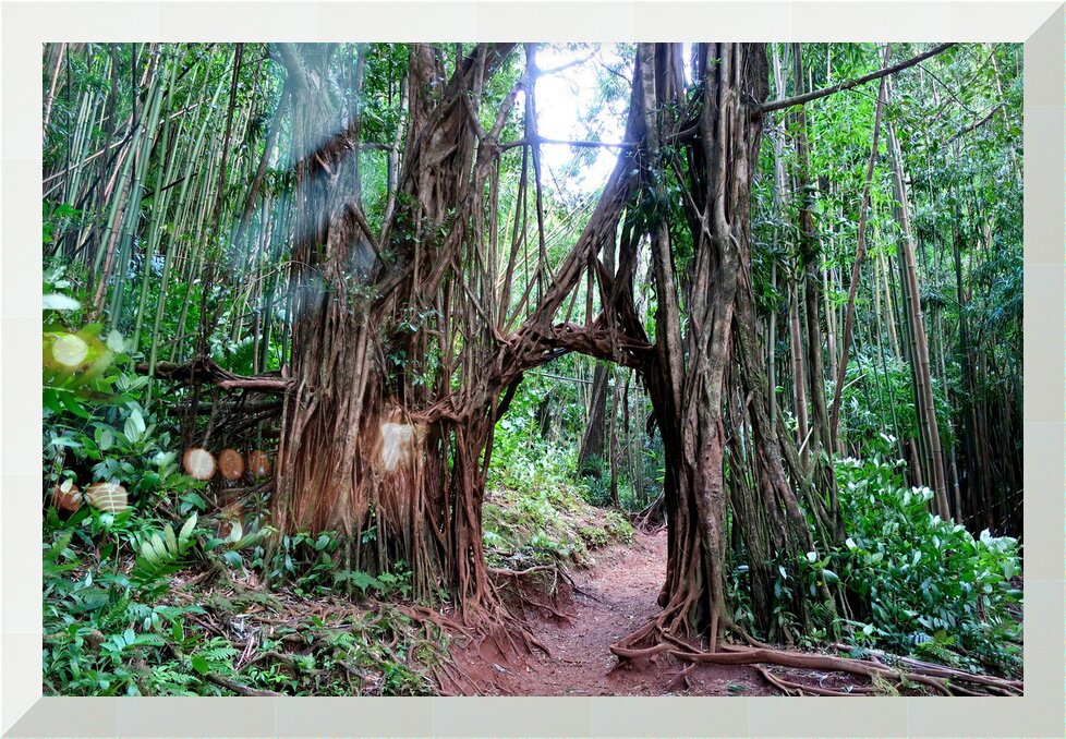 Impression de cadre personnalisé