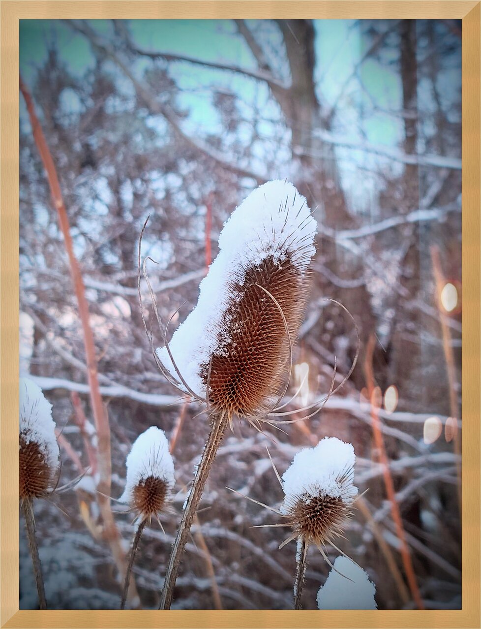 Impression de cadre personnalisé