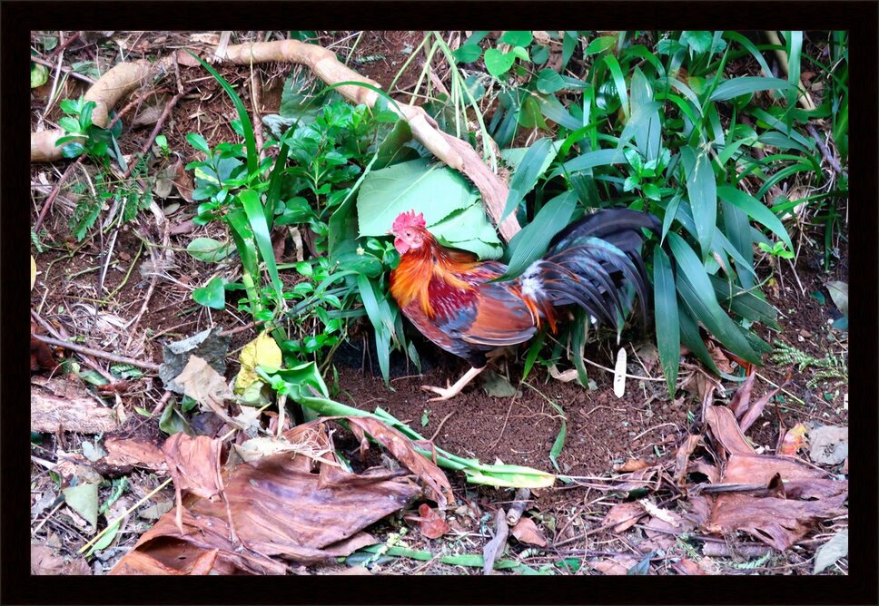 Impression de cadre personnalisé