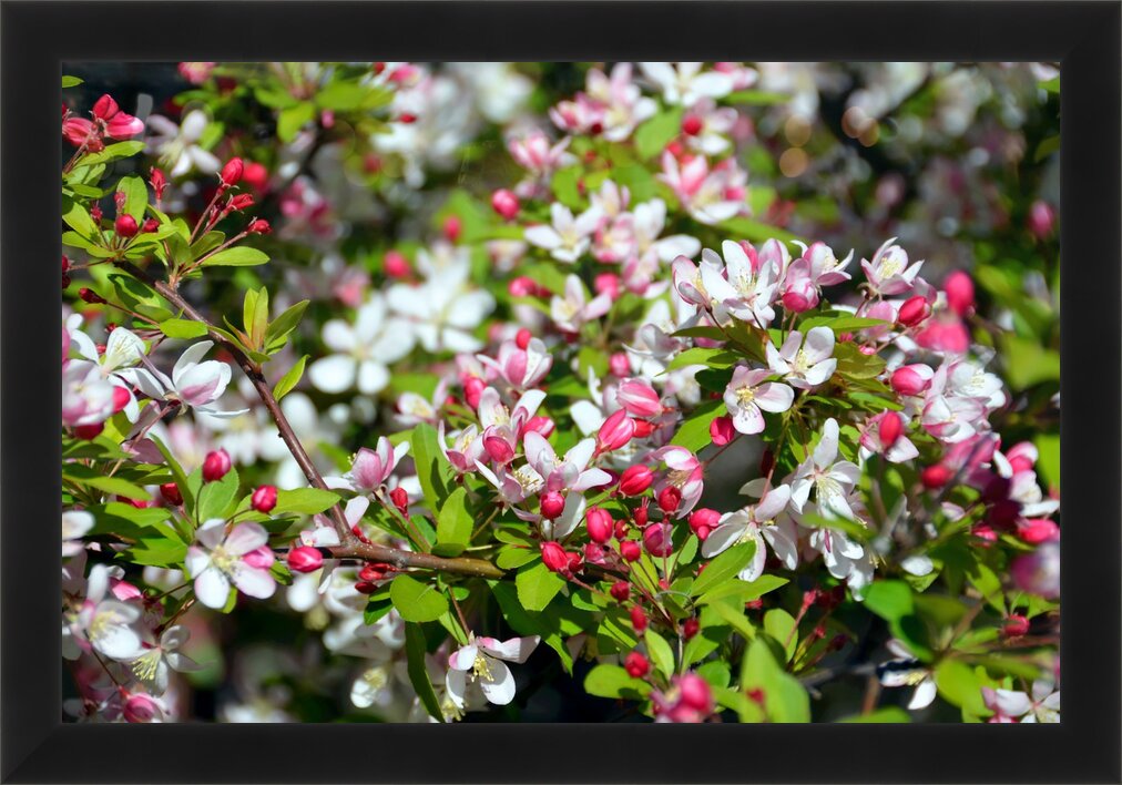 Impression de cadre personnalisé