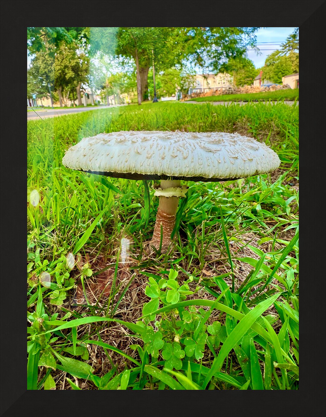 Impression de cadre personnalisé