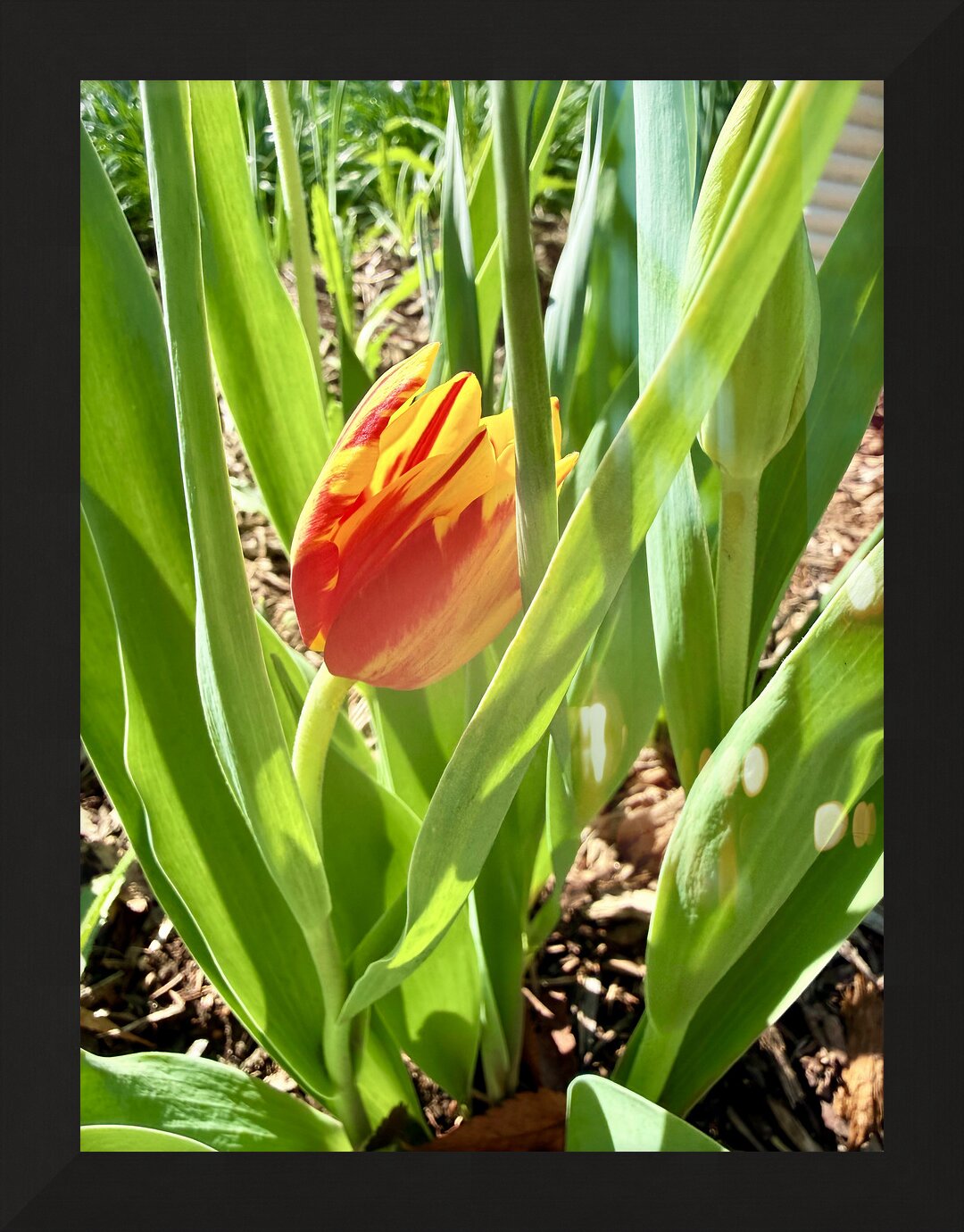 Impression de cadre personnalisé