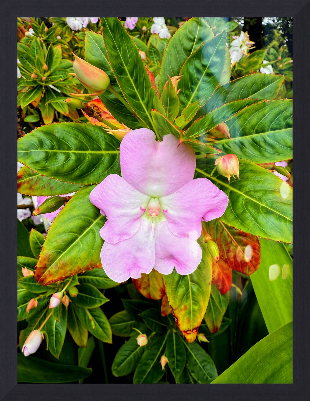 Impression de cadre personnalisé