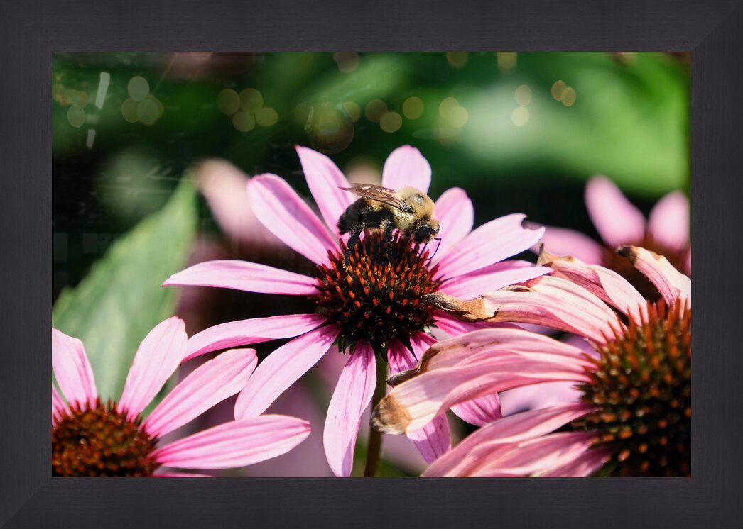 Impression de cadre personnalisé